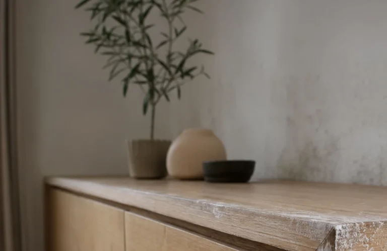 moisissure blanche sur un meuble en bois